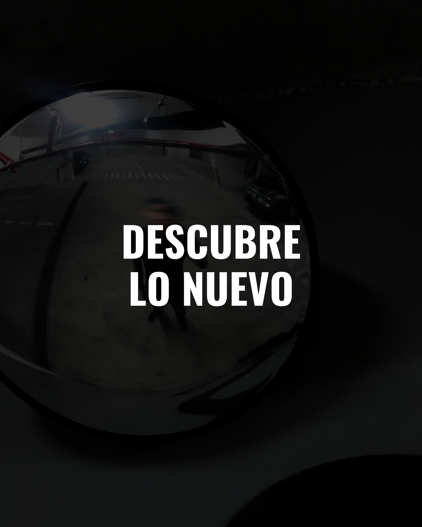 VONN NOVEDADES